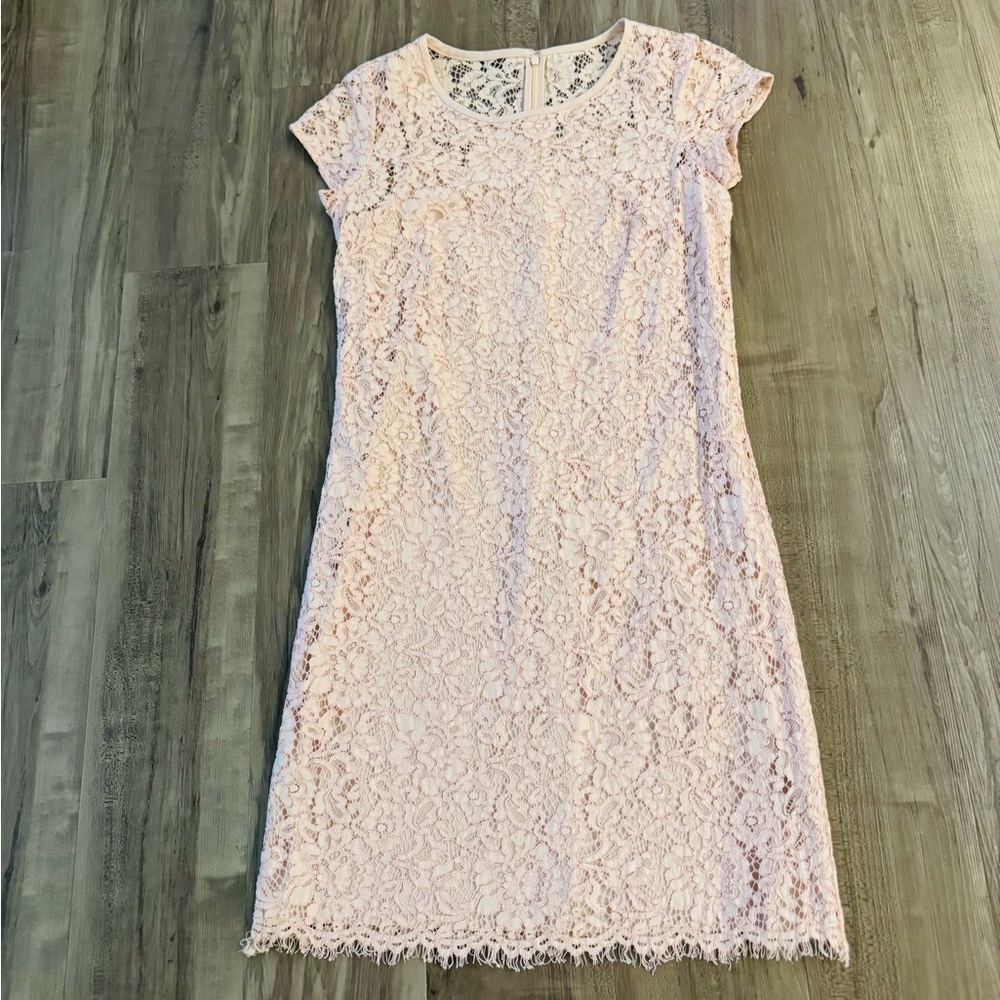 Ann Taylor LOFT Light Pink / Blush Pink Lace Dress. Short sleeve. Floral dress